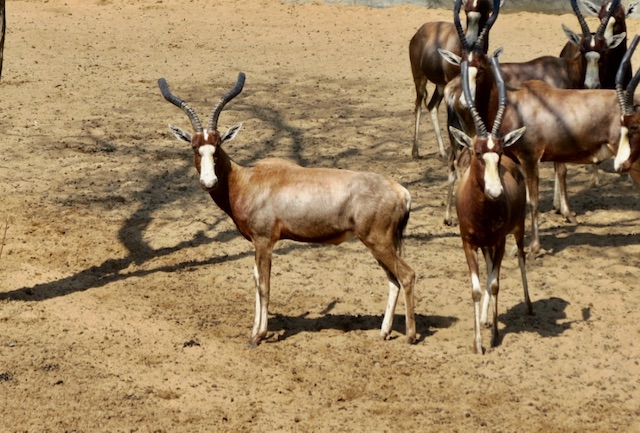 QfLsQdrTSegOmXJcjINcg_thumb_124